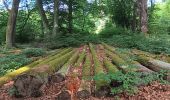Trail Walking Seraing - bois de la vequée par les petits chemins (version courte) - Photo 4