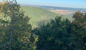 Excursión Senderismo Flavignerot - Flavigny Roy - Photo 2