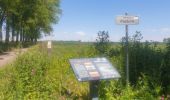 Trail Walking Ham-sur-Heure-Nalinnes - La promenade de Marbaix-La-Tour - Photo 4