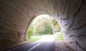 Excursión Bici de montaña Mamer - De Capellen à Virton - Photo 19