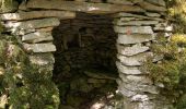 Trail Walking Auxey-Duresses - Camp des Celtes et sentier des Cabottes - Photo 2