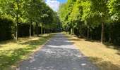 Trail Walking Enghien - Enghien parc 14,5 km - Photo 6