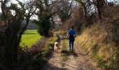 Tour Wandern Rompon - Le couvent des chèvres par le vieux Rompon - Photo 19