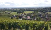 Percorso Marcia Rimbachzell - mp Rimbachzell 2019 - Photo 7
