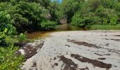 Excursión Senderismo Le Vauclin - Boucle Macabou via Morne Flambeau - Photo 6