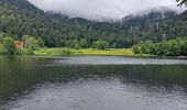 Tour Wandern Xonrupt-Longemer - Tour des lacs de Longemer et Retournemer et cascades - Photo 6