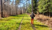 Tocht Stappen Beauraing - Balade à Winenne - Beauraing - Photo 9