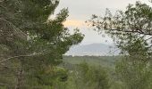 Tour Wandern Évenos - La loisianne pins et tamaris Fred - Photo 4