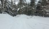 Randonnée Ski de randonnée Proveysieux - 140124 Mont Fromage - Photo 2