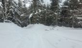 Excursión Esquí de fondo Proveysieux - 140124 Mont Fromage - Photo 2