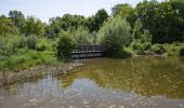 Randonnée A pied Inconnu - Naturlehrpfad obere Lobau (Saltenstraße Rundweg) - Photo 4