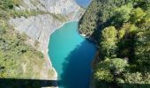 Randonnée Marche Treffort - Passerelles Monteynard  - Photo 6