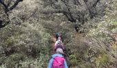 Trail Walking Saint-Guilhem-le-Désert - Le roc aux vignes - Photo 11