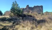 Tocht Stappen Peyruis - PEYRUIS . TOUR DU PRACONTEAU .CHAPELLE D AUGES O L M - Photo 4