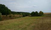 Tour Wandern Bléré - Bléré - Fonds de Bout Ferré - 14.2km 145m 3h30 - 2022 08 15 - Photo 3