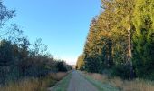 Trail Walking Eupen - nahtsief court - Photo 11