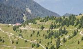 Trail On foot Tremosine sul Garda - Malga Spiazzo, Malga Lavino, Bocca di Lorina - Photo 2