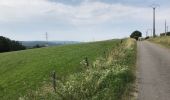 Tocht Stappen Rendeux - Marcouray 22,5 km - Photo 2