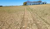 Randonnée Marche Houffalize - Engreux 070426 - Photo 6