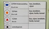 Trail Walking Lommel - Le Sahara de Lommel  - Photo 5