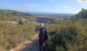 Tocht Noords wandelen Gruissan - Le massif de la Clape Gruissan - Photo 20