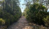 Tocht Stappen Roquebrune-sur-Argens - z la Guitranière-la Bouverie 15-09-20 - Photo 1