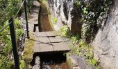 Tocht Stappen São Jorge - Levada do Rei (Rother n°30) - Photo 14