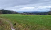 Randonnée Marche Manhay - Deux Rys 120423 - Photo 10