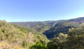 Tocht Mountainbike La Môle - La Mole - Barrage de La Verne - Chartreuse de La Verne - Capelude - Retour La Mole par les crêtes - Photo 17