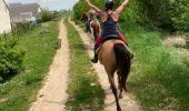 Trail Horseback riding Hériménil - Herimenil baignade Tivio Kenzo tiboy  - Photo 19