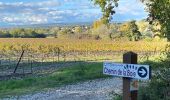 Tocht Stappen Taulignan - Taulignan le chemin de la soie - Photo 2