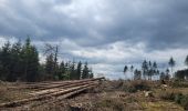 Tour Wandern Hohenfels - rando ornitho wibrin 26-04-2024 - Photo 3