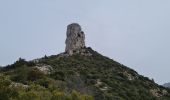 Excursión Senderismo Auriol - cauvin bertagne roqueforcade - Photo 12