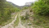 Trail Walking Romeyer - Col des Bachassons depuis Romeyer - Photo 8