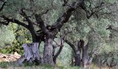 Tour Wandern La Cadière-d'Azur - La Peyguiere - Revers de Bocquié - Le télégraphe - La barbarie - Photo 12