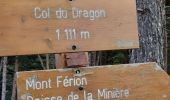 Tocht Stappen Levens - 2021- Trace du Mont Férion - Photo 4