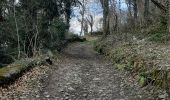 Trail Walking Bagnères-de-Luchon - Saint Mamet Luchon - Photo 2