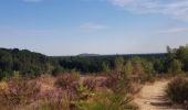 Tour Wandern Maasmechelen - Mechelse Heide  - Photo 7