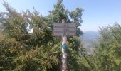 Randonnée A pied Capizzone - Sentiero del Partigiano Angelo Gotti - Photo 6