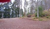 Trail Walking Buhl - Wolfsgrube (4/3/2021) - Photo 4