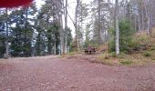 Tour Wandern Buhl - Wolfsgrube (4/3/2021) - Photo 4