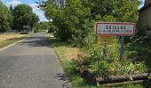 Randonnée Marche Valloire-sur-Cisse - Seillac - Circuit des Bois - Photo 19