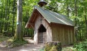 Trail Walking Dambach-la-Ville - Sommets et rochers - Photo 4