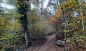 Tour Wandern Echternach - mullerthal e1 - Photo 8