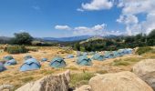 Trail Mountain bike Zicavo - Balade sur le plateau du Coscione - VTT - Photo 6