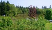 Tocht Stappen Ramonchamp - Ferdrupt / Les etangs noirs / Chalet Grammont / Chalet de l'alouette  - Photo 9