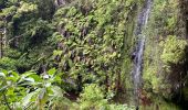 Trail Walking São Jorge - Levada del Rei - Photo 2