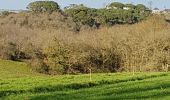 Tour Wandern Rochefort-sur-Loire - Rochefort sur Loire, château de Pigüe - Photo 5