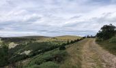 Excursión Senderismo Mont Lozère et Goulet - Mont Lozère, col Finiels  - Photo 2