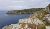 Tocht Stappen Plogoff - 2019 06 12 Loc'h Baie des Trépassés par Pointe du Raz - Photo 3